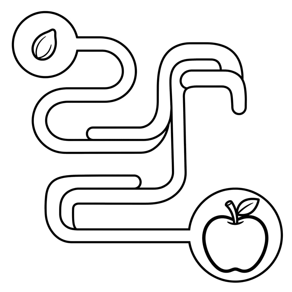 Faits et Coloriages Gratuits sur les Pommes pour Enfants - PDF - Preview Page 4
