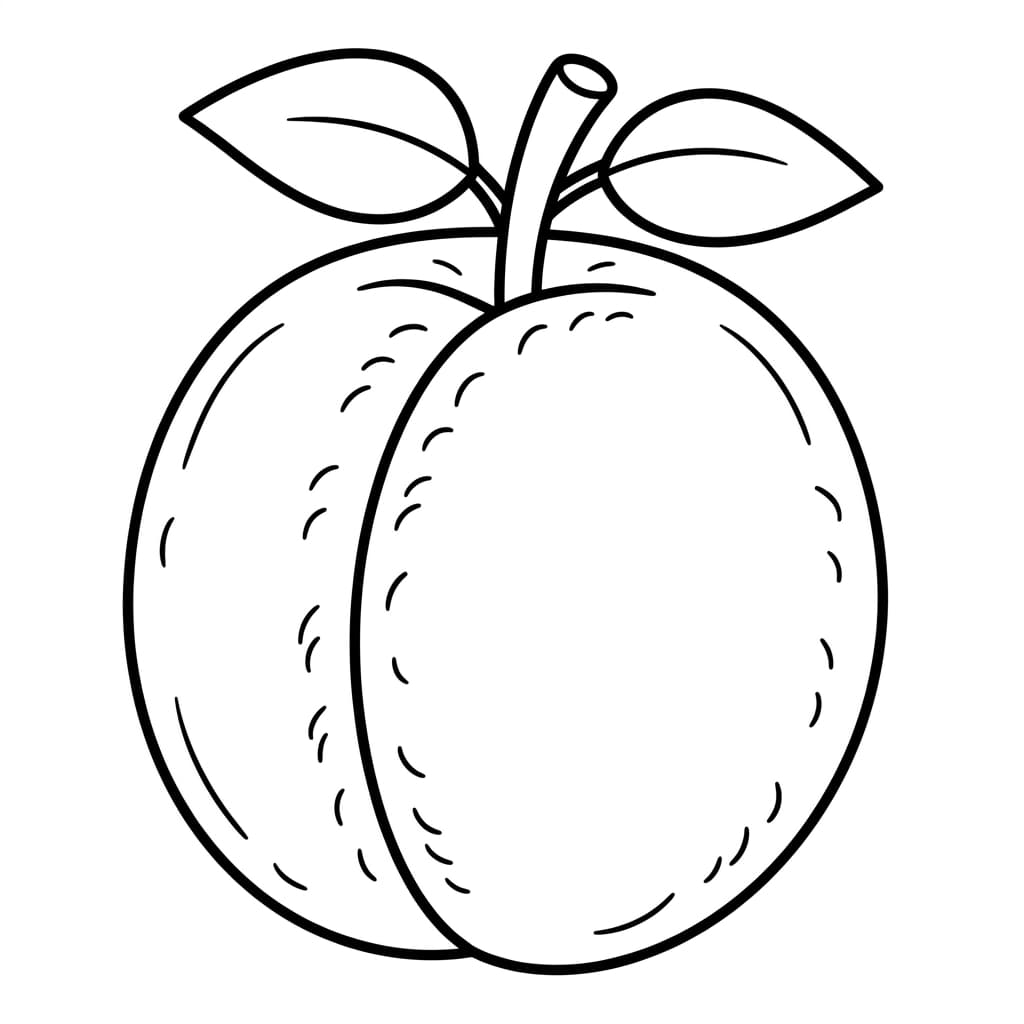 Faits sur l'abricot et coloriages pour enfants - Preview Page 1