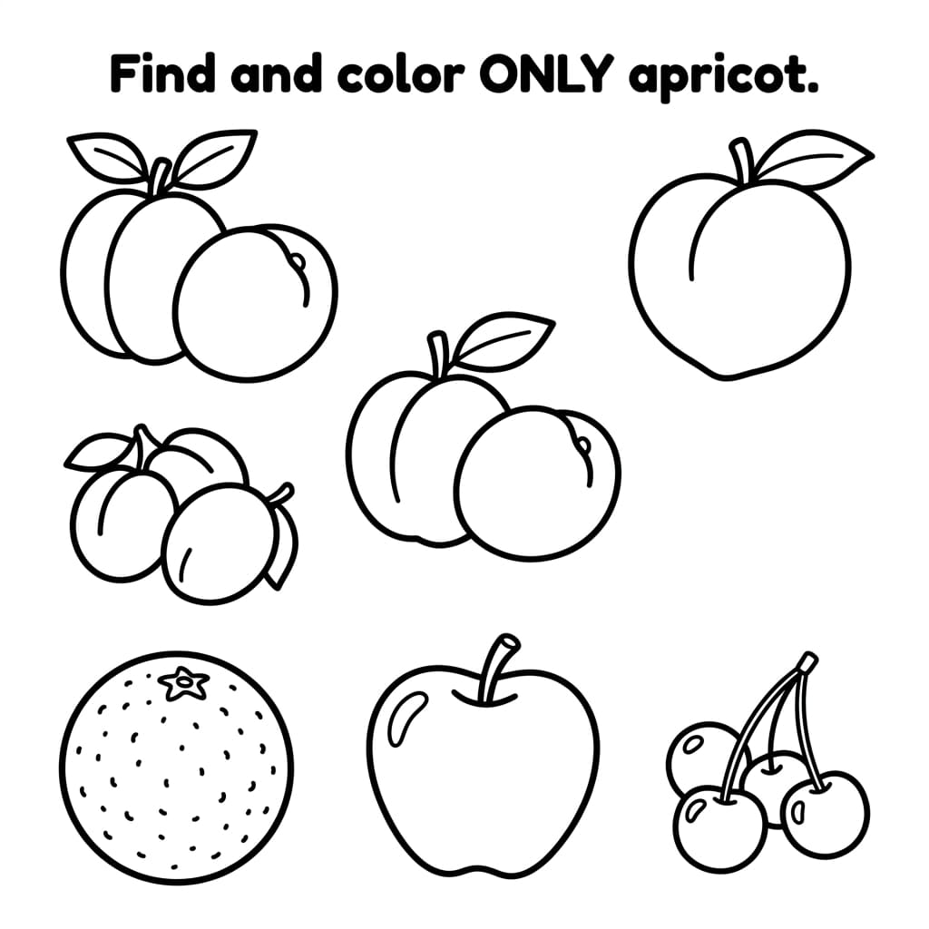Faits sur l'abricot et coloriages pour enfants - Preview Page 3
