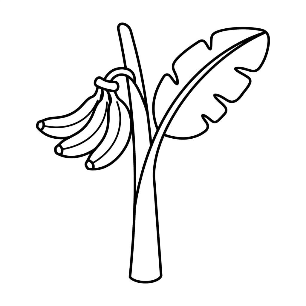 Free Banana Facts and Coloring Pages for Kids - Printable PDF - Preview Page 2