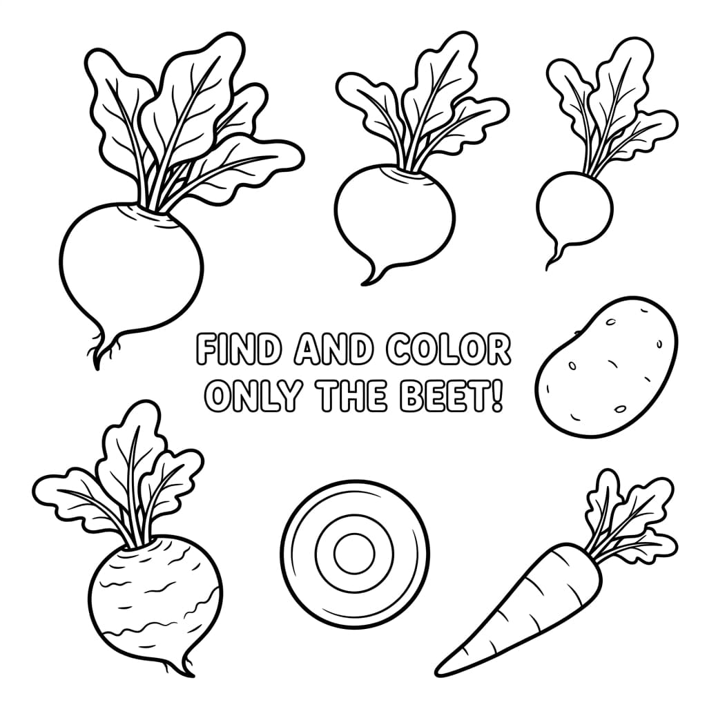 Faits sur la betterave et coloriages pour enfants - Preview Page 3