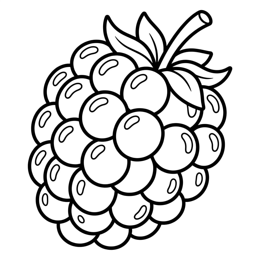 Free Blackberry Facts and Coloring Pages for Kids - Printable PDF - Preview Page 1