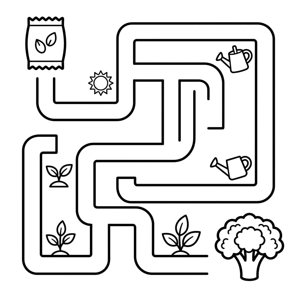 Free Broccoli Facts and Coloring Pages for Kids - Printable PDF - Preview Page 4