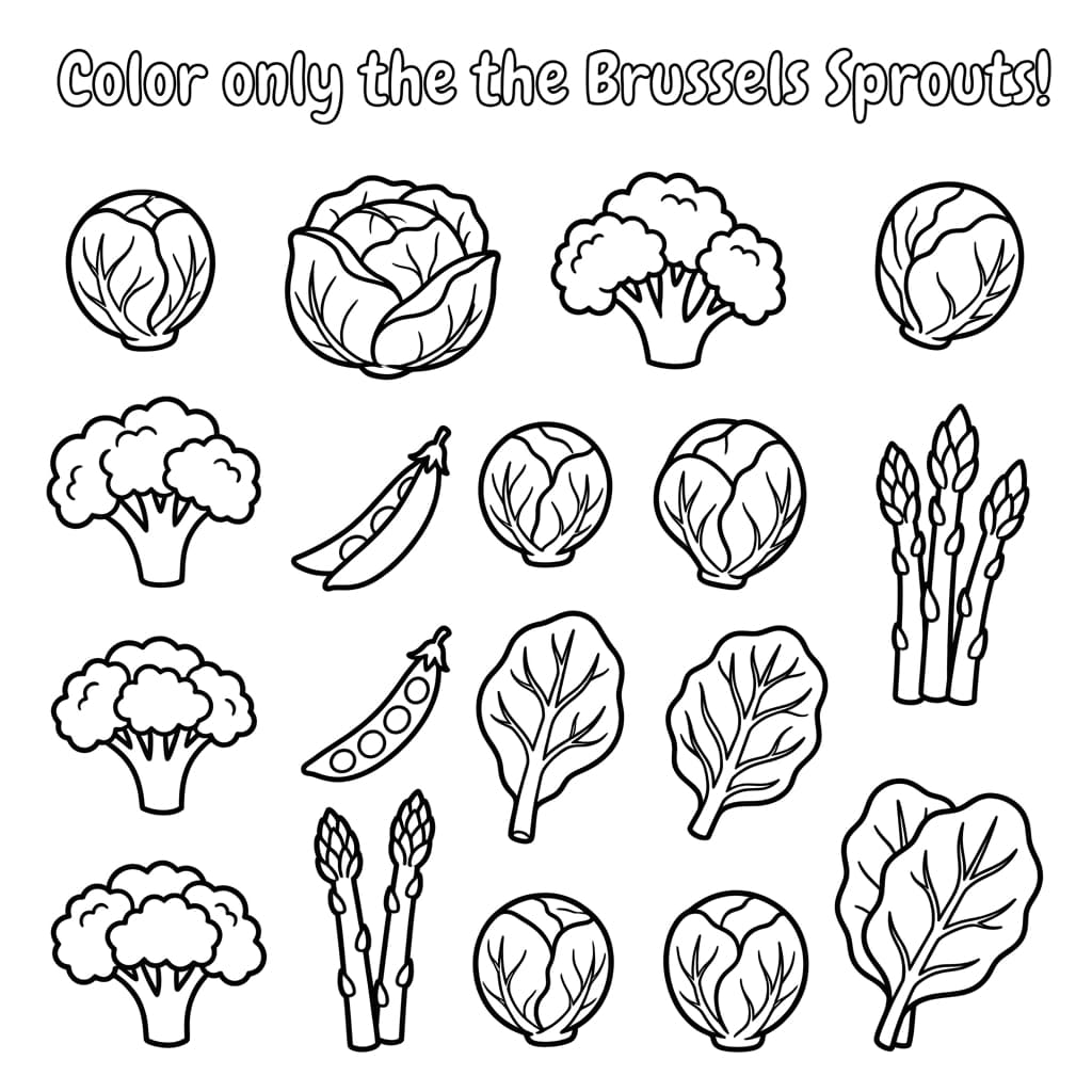 Free Brussels Sprout Facts and Coloring Pages for Kids - Printable PDF - Preview Page 3