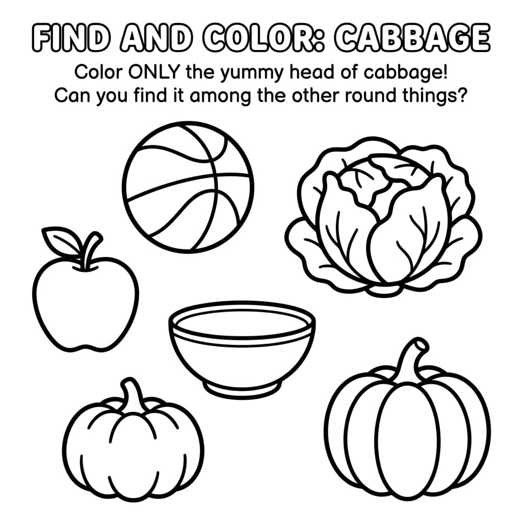 Free Cabbage Facts and Coloring Pages for Kids - Printable PDF - Preview Page 3