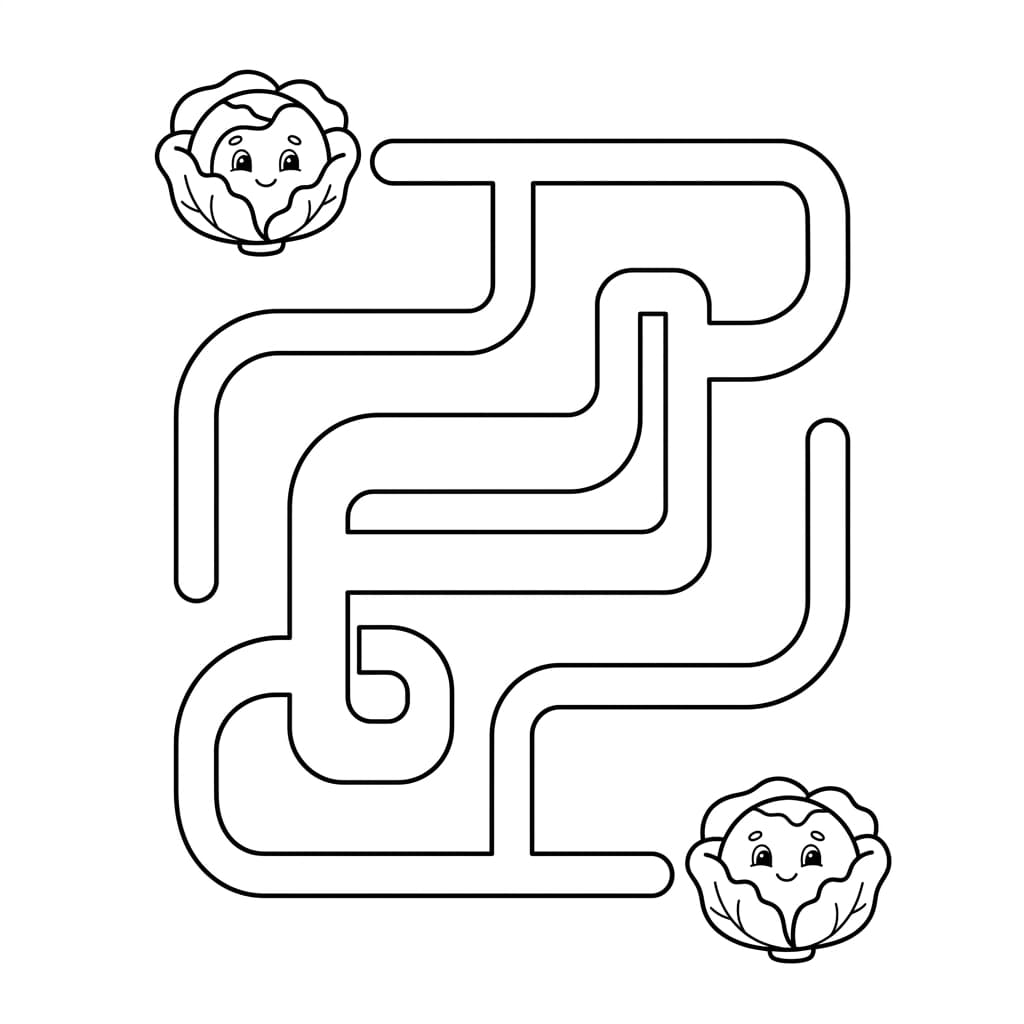 Free Cabbage Facts and Coloring Pages for Kids - Printable PDF - Preview Page 4