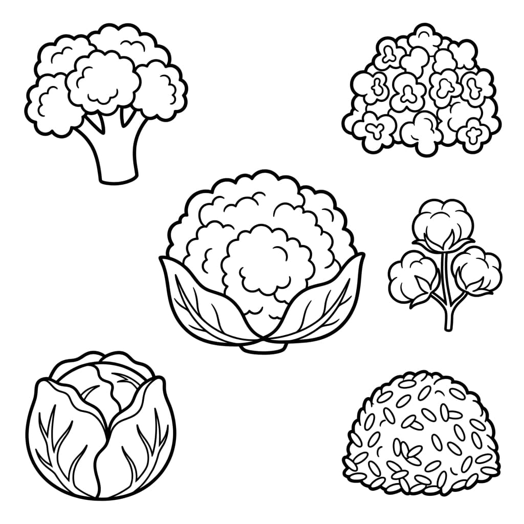 Free Cauliflower Facts and Coloring Pages for Kids - Printable PDF - Preview Page 3