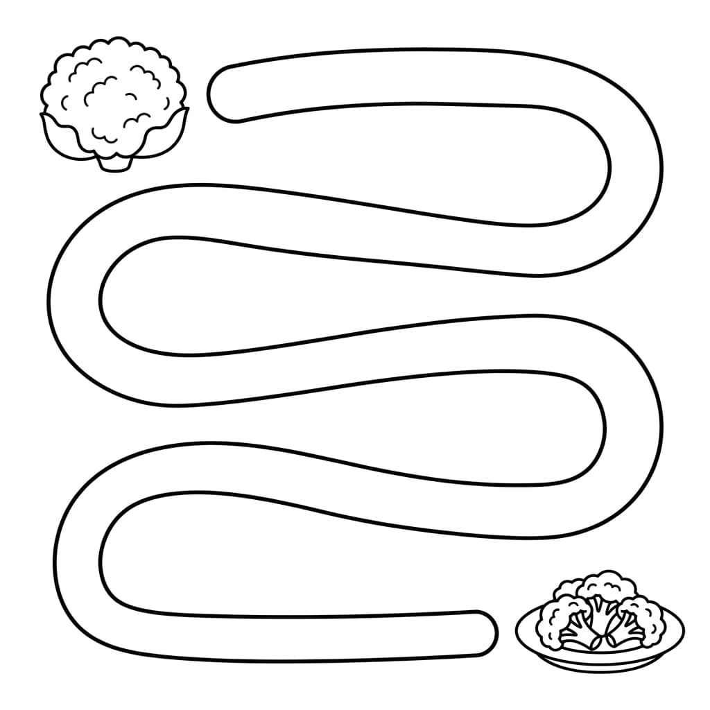 Free Cauliflower Facts and Coloring Pages for Kids - Printable PDF - Preview Page 4