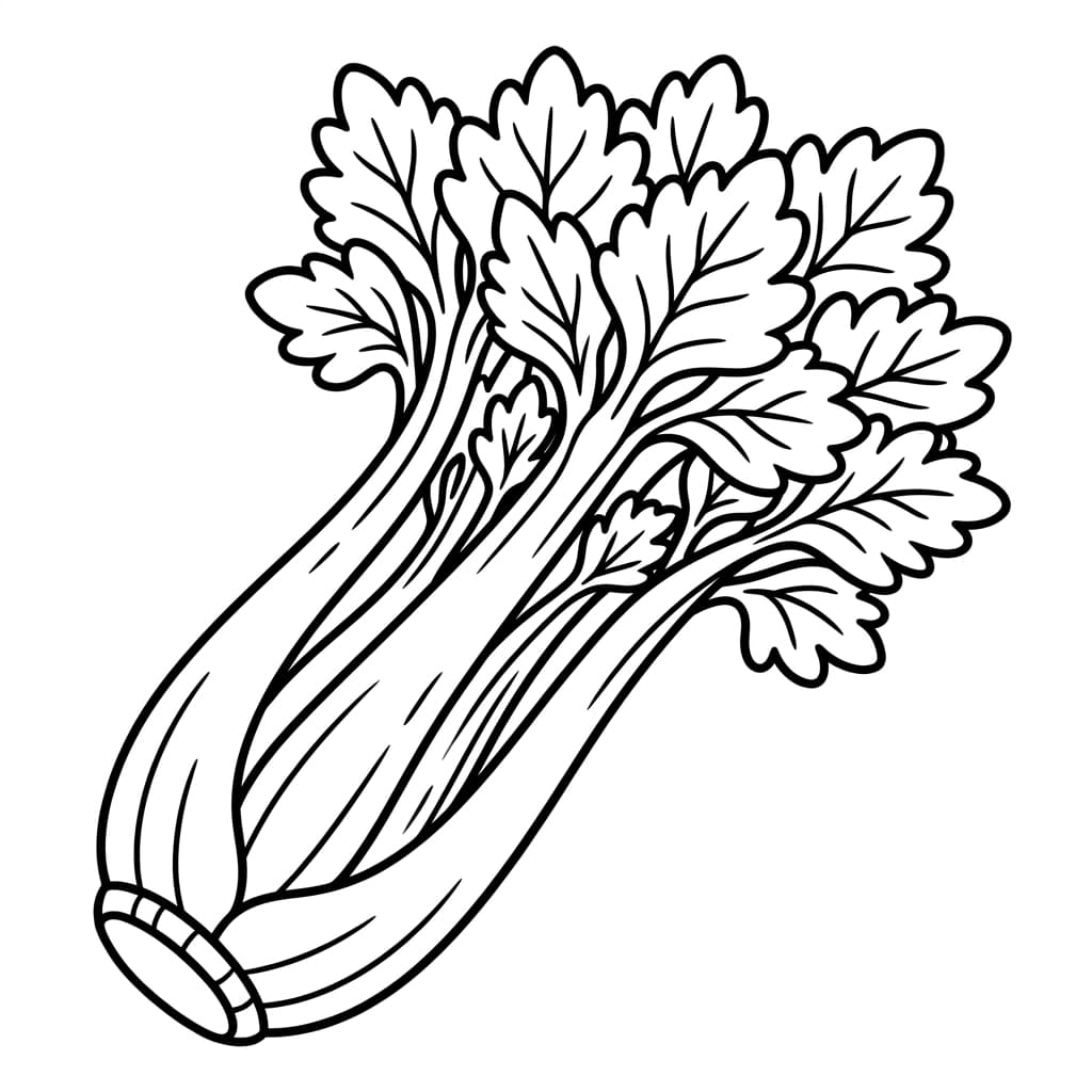Free Celery Facts and Coloring Pages for Kids - Printable PDF - Preview Page 1