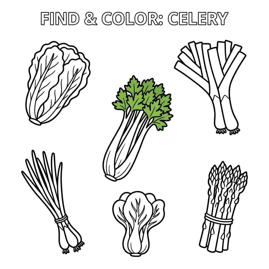 Free Celery Facts and Coloring Pages for Kids - Printable PDF - Preview Page 3