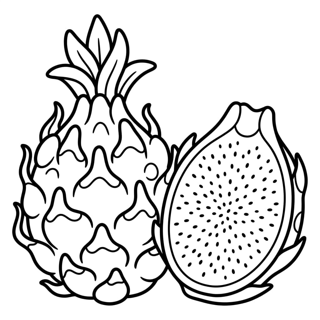 Free Dragon Fruit Facts and Coloring Pages for Kids - Preview Page 1