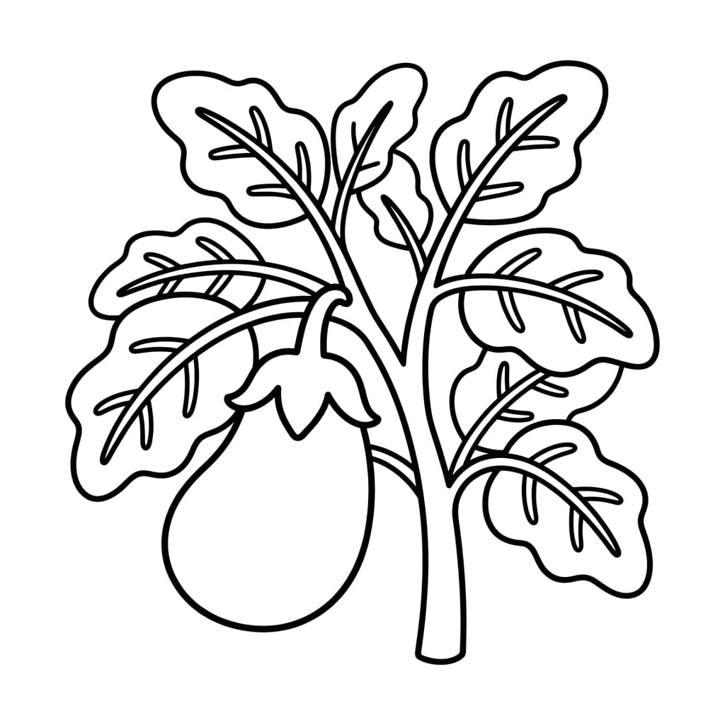 Faits sur l'aubergine et coloriages pour enfants - Preview Page 2