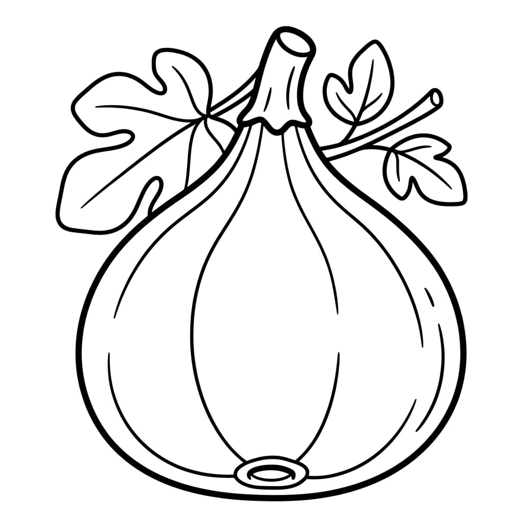 Free Fig Facts and Coloring Pages for Kids - Printable PDF - Preview Page 1