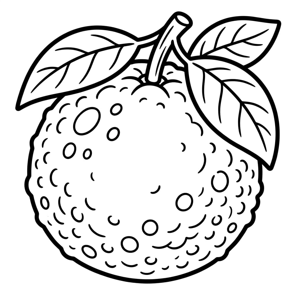 Free Grapefruit Facts and Coloring Pages for Kids - Printable PDF - Preview Page 1
