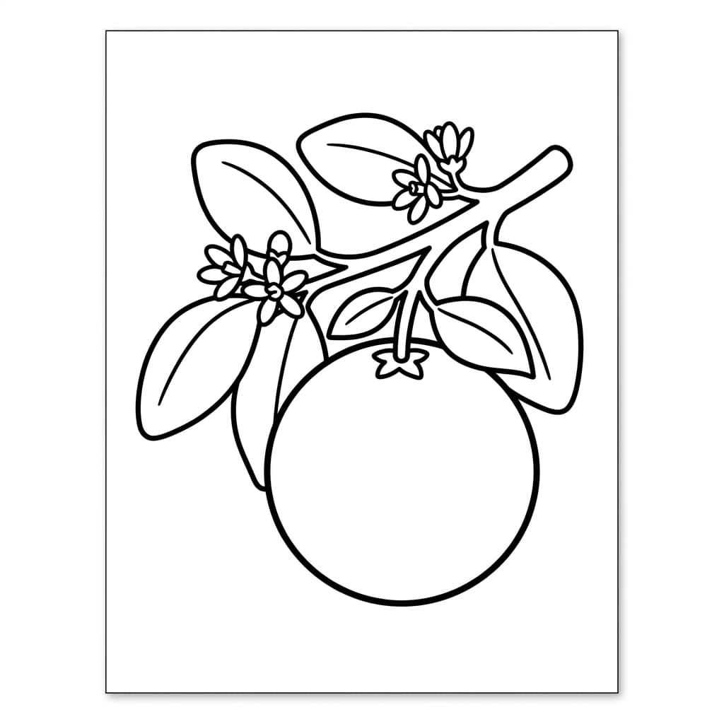 Free Grapefruit Facts and Coloring Pages for Kids - Printable PDF - Preview Page 2
