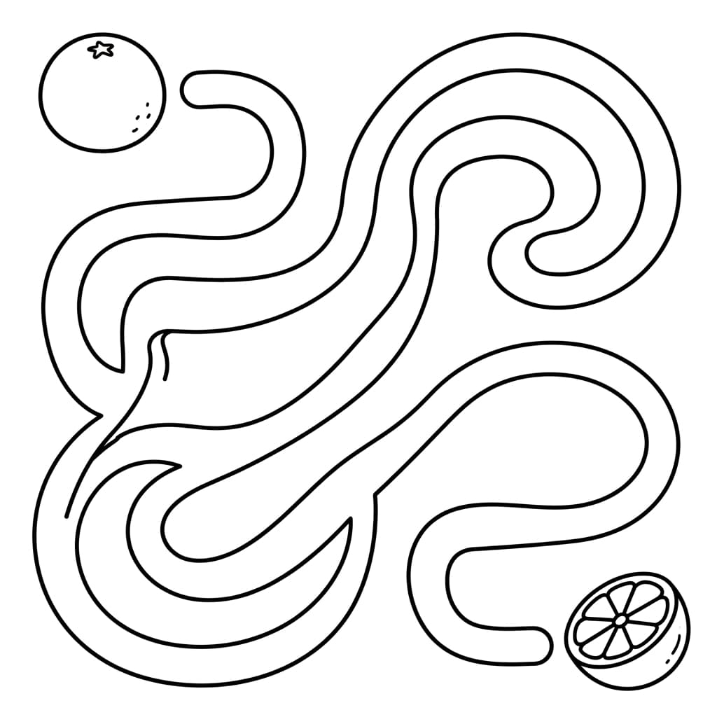 Free Grapefruit Facts and Coloring Pages for Kids - Printable PDF - Preview Page 4