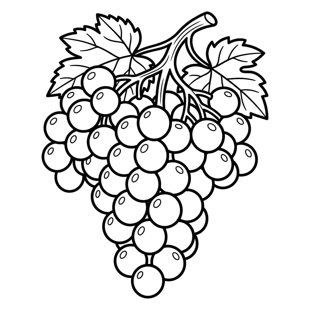 Free Grapes Facts and Coloring Pages for Kids - Printable PDF - Preview Page 1