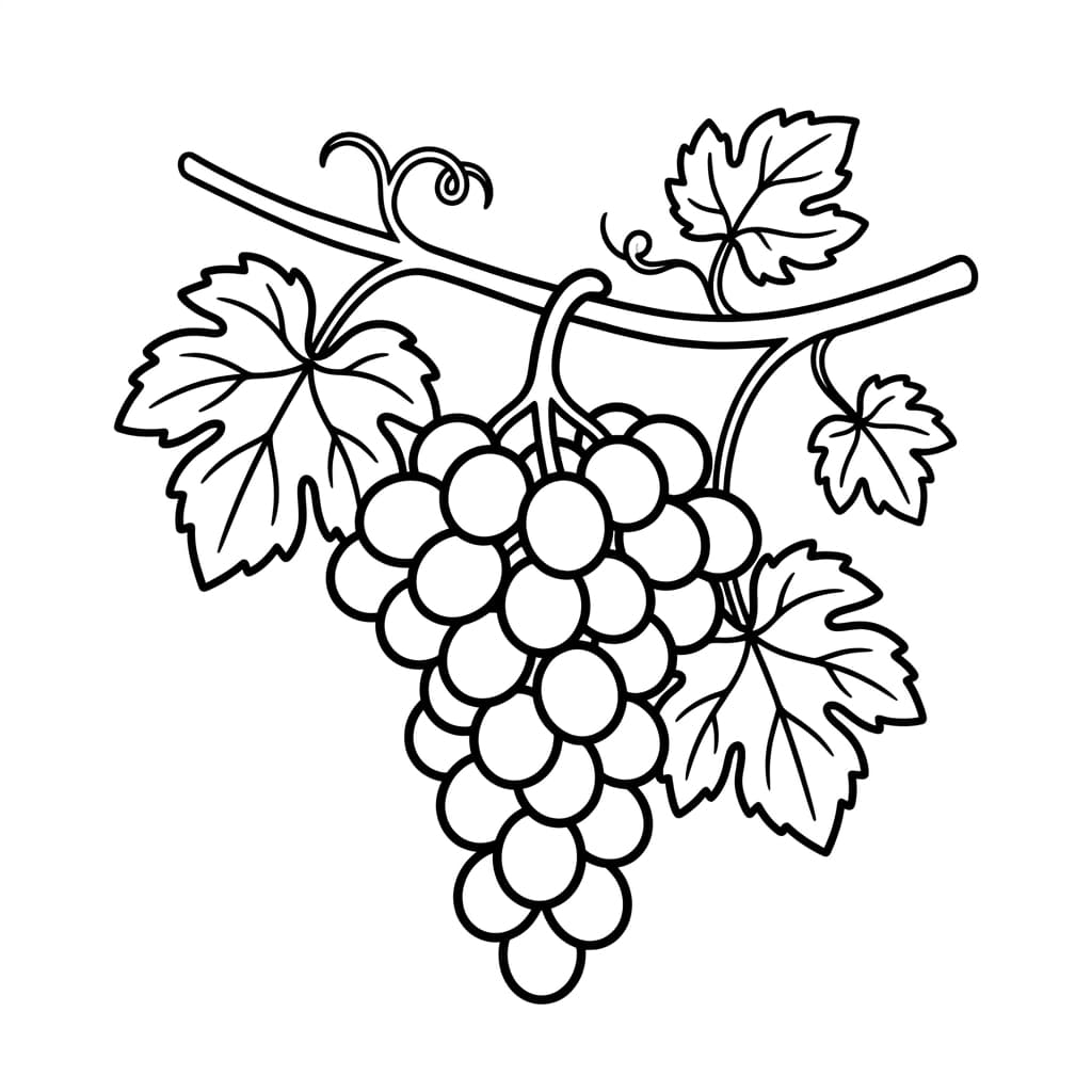 Free Grapes Facts and Coloring Pages for Kids - Printable PDF - Preview Page 2