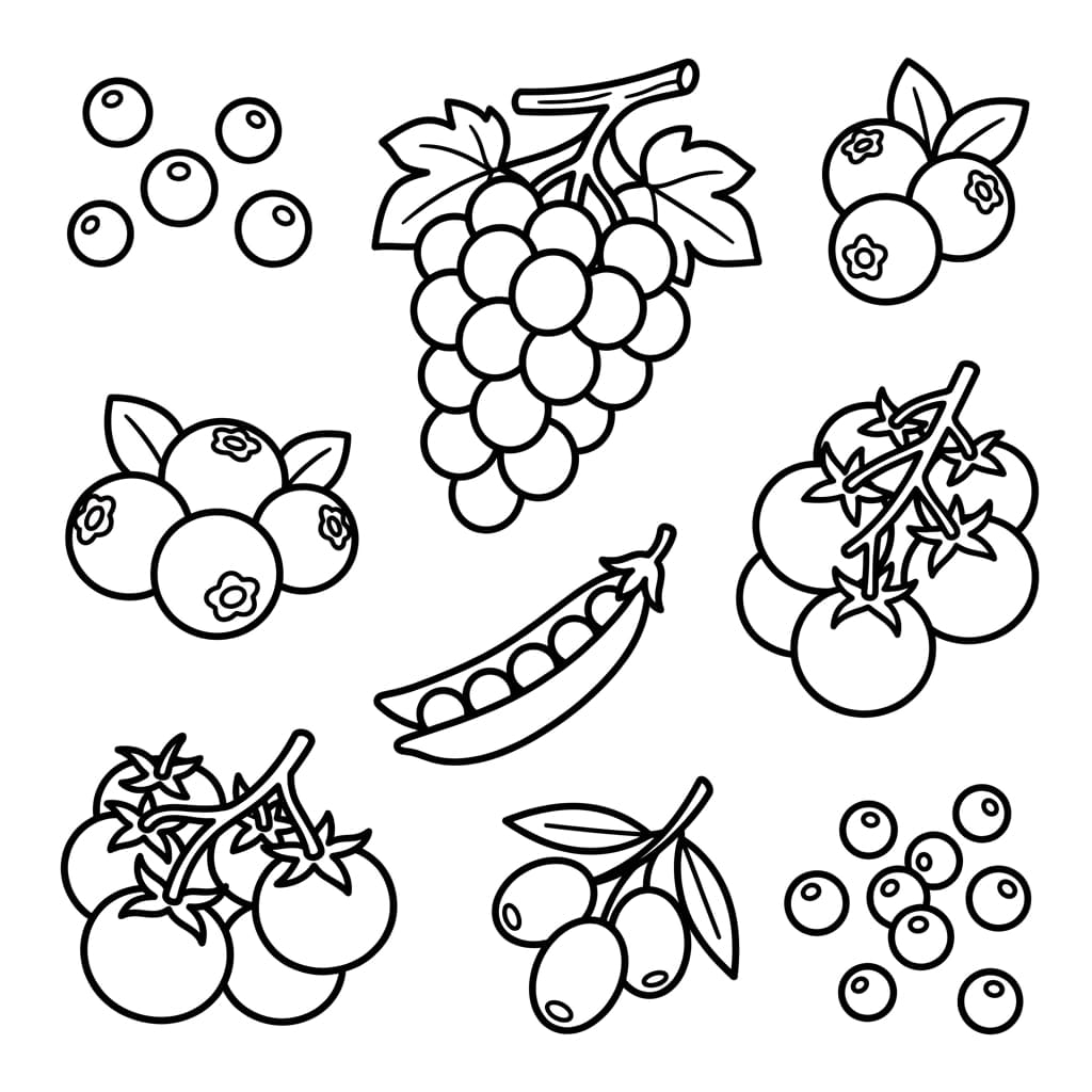 Free Grapes Facts and Coloring Pages for Kids - Printable PDF - Preview Page 3