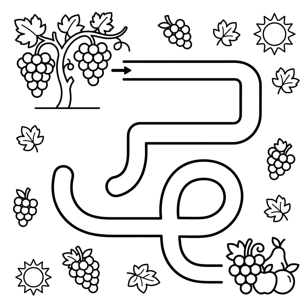 Free Grapes Facts and Coloring Pages for Kids - Printable PDF - Preview Page 4