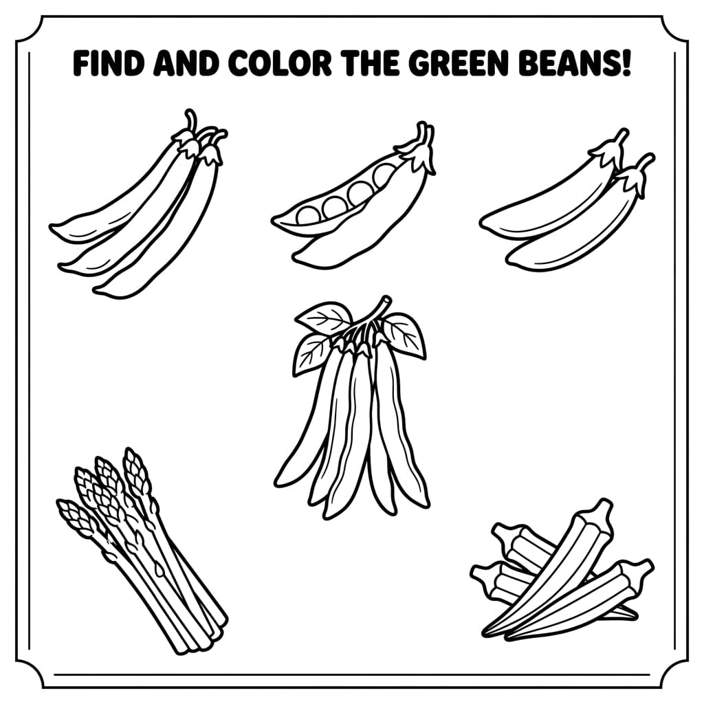 Faits sur le haricot vert et coloriages pour enfants - Preview Page 3