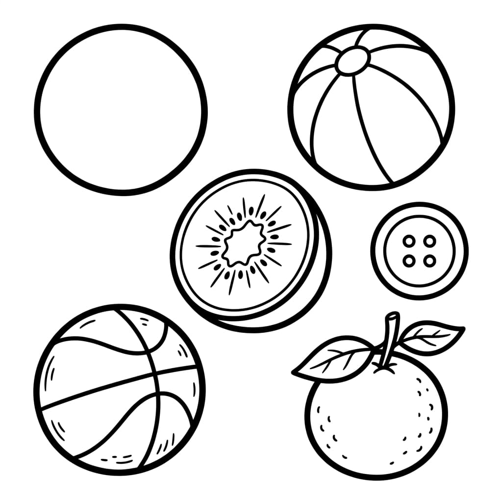Free Kiwi Facts and Coloring Pages for Kids - Printable PDF - Preview Page 3