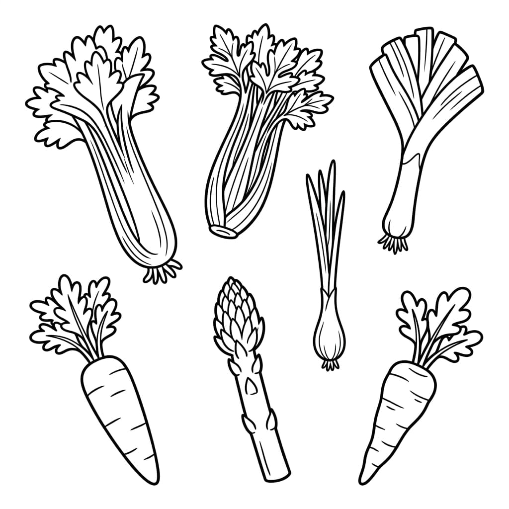 Poireau : Faits et coloriages gratuits pour les enfants - Preview Page 3
