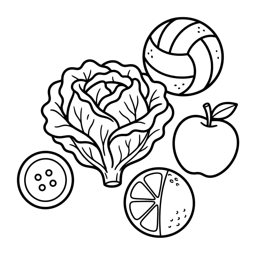 Free Lettuce Facts and Coloring Pages for Kids - Printable PDF - Preview Page 3