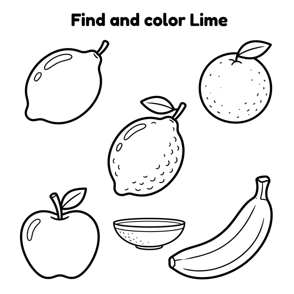 Free Lime Facts and Coloring Pages for Kids - Printable PDF - Preview Page 3