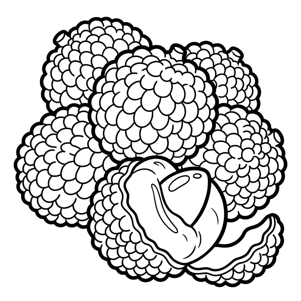 Free Lychee Facts and Coloring Pages for Kids - Preview Page 1