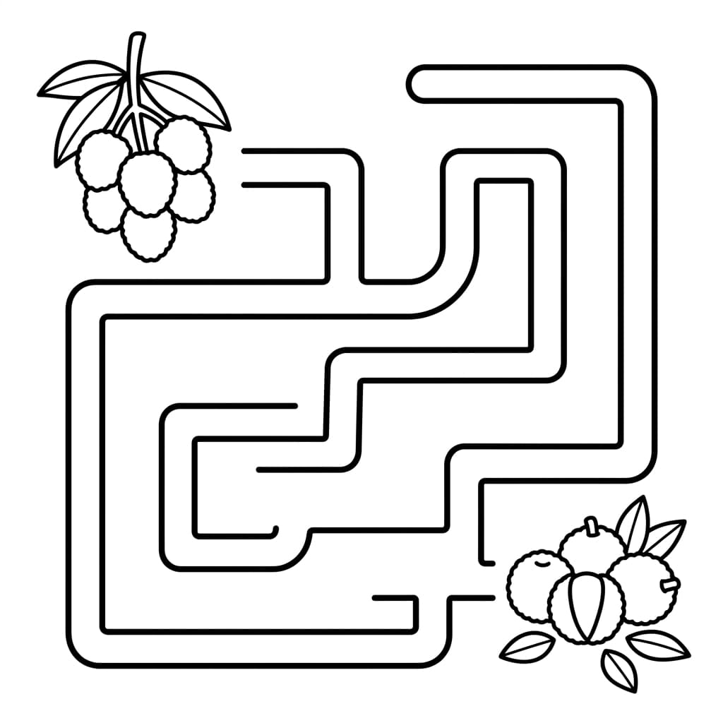 Free Lychee Facts and Coloring Pages for Kids - Preview Page 4