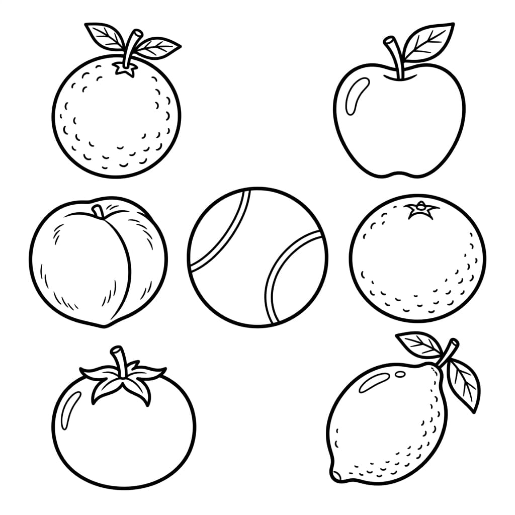 Free Orange Facts and Coloring Pages for Kids - Printable PDF - Preview Page 3