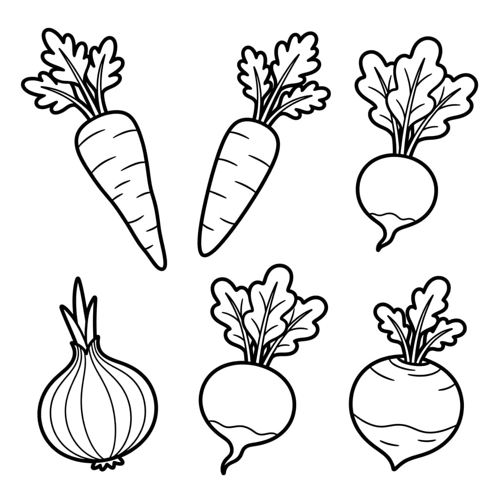 Panais : Faits et coloriages gratuits pour les enfants - Preview Page 3