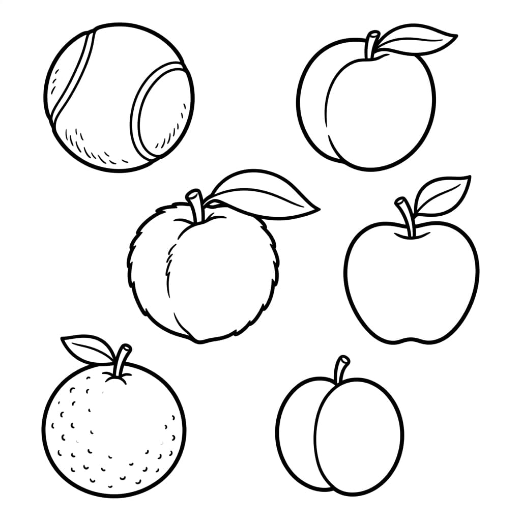 Free Peach Facts and Coloring Pages for Kids - Printable PDF - Preview Page 3