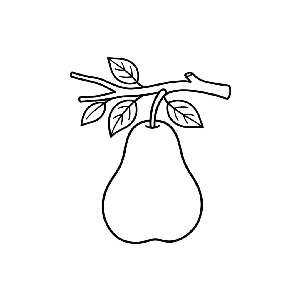Free Pear Facts and Coloring Pages for Kids - Printable PDF - Preview Page 2