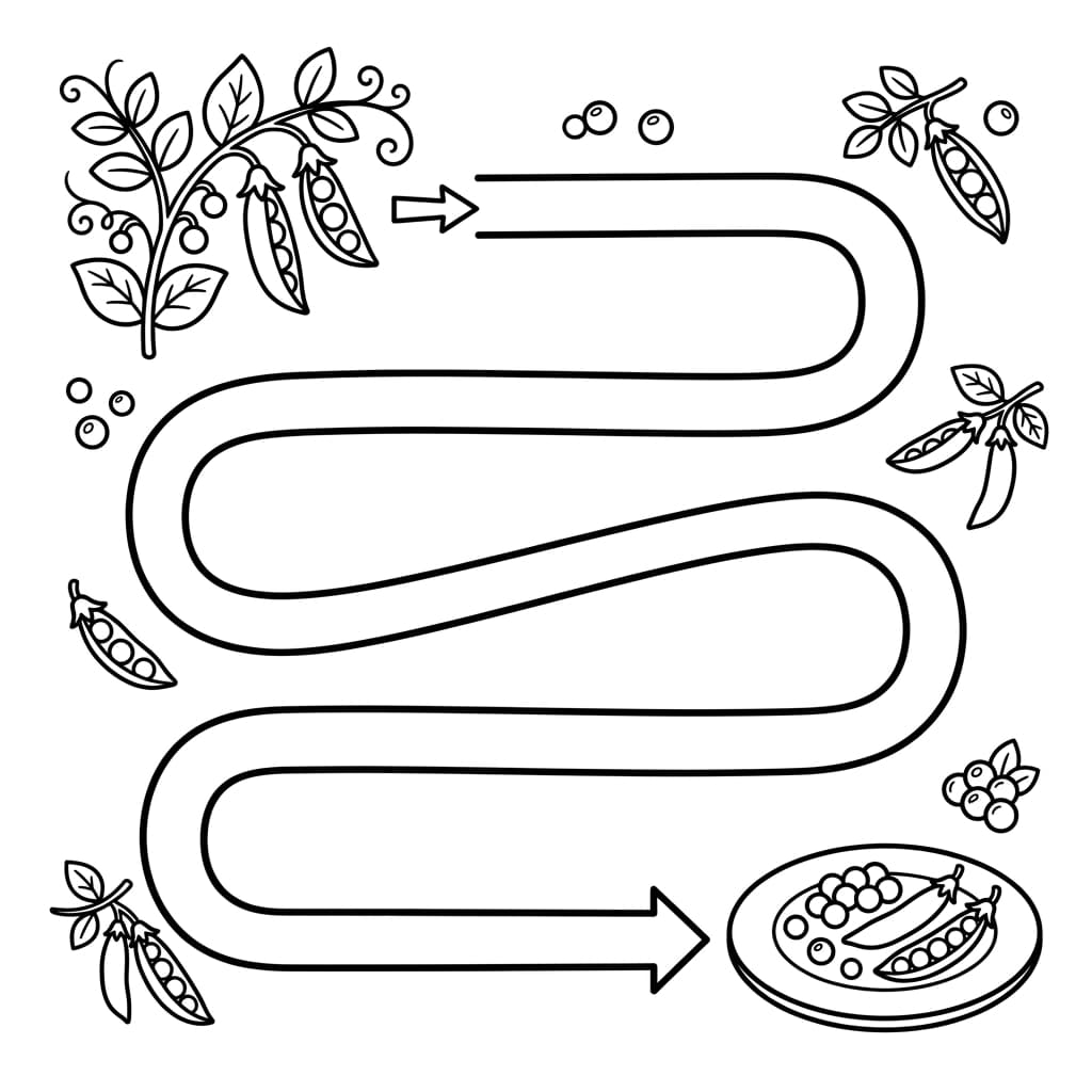 Free Peas Facts and Coloring Pages for Kids - Printable PDF - Preview Page 4