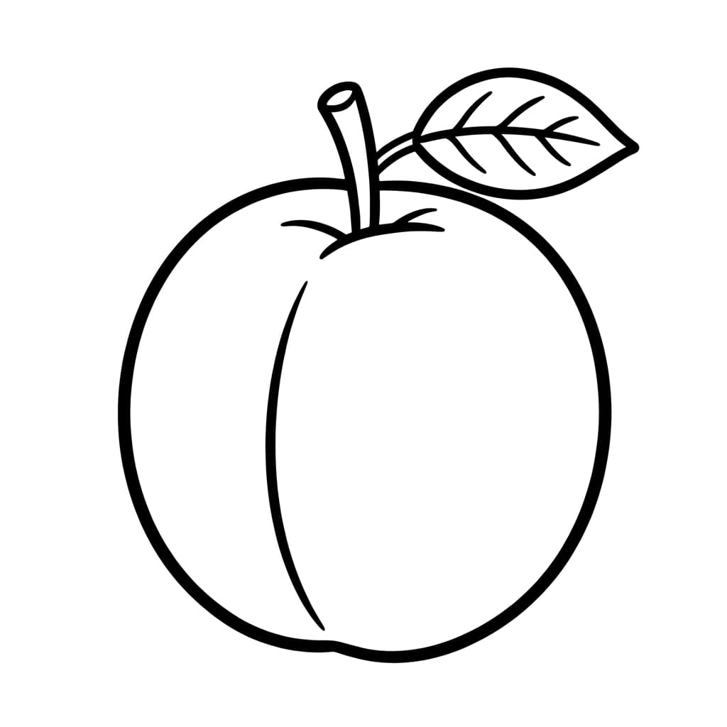 Free Plum Facts and Coloring Pages for Kids - Printable PDF - Preview Page 1