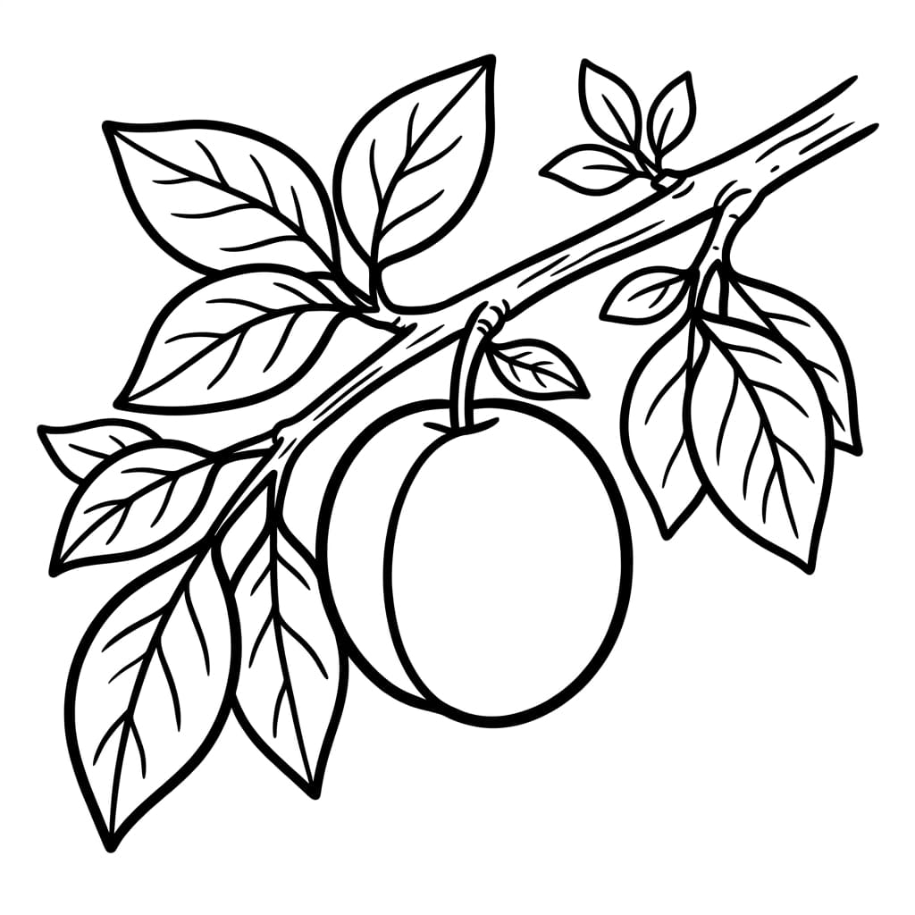 Free Plum Facts and Coloring Pages for Kids - Printable PDF - Preview Page 2