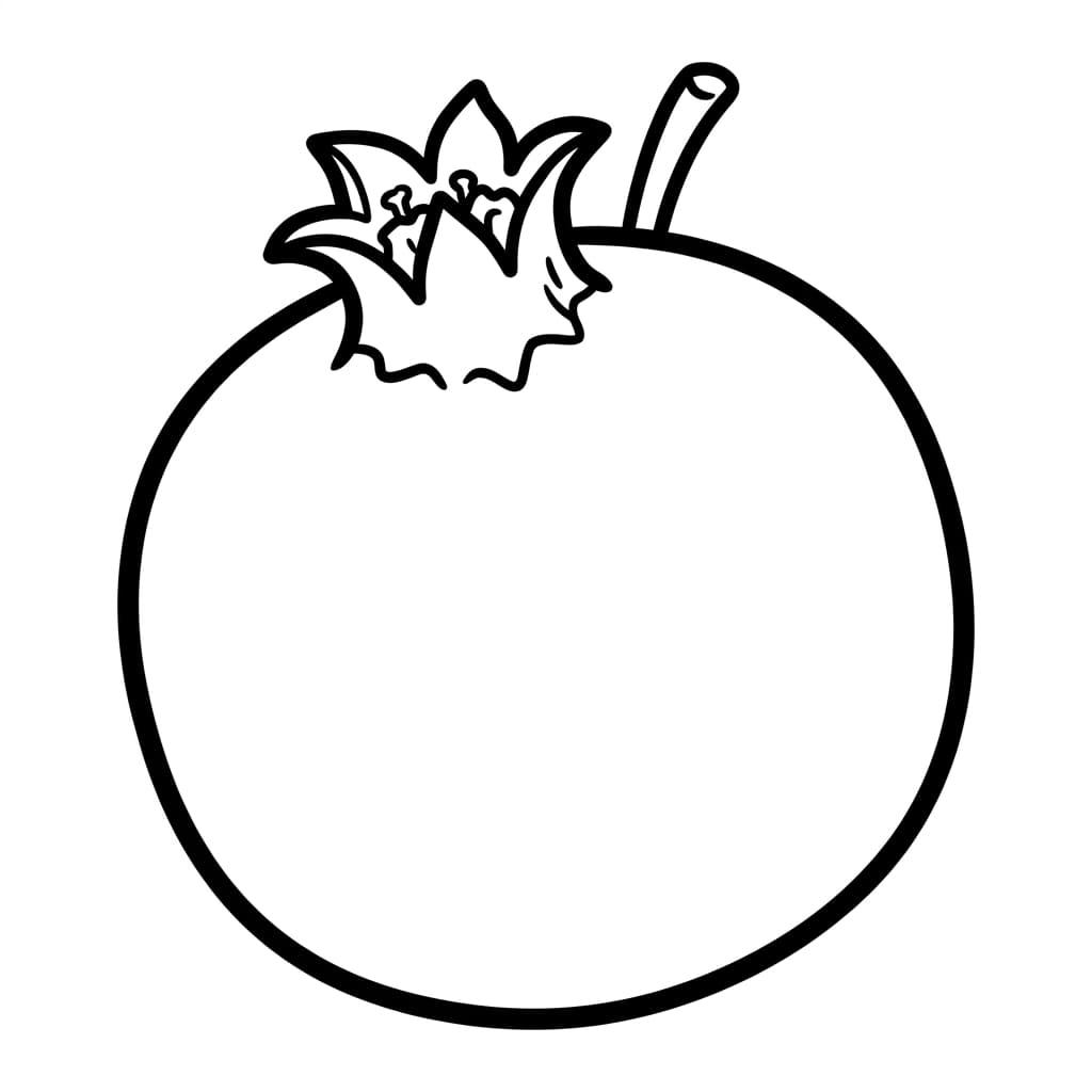 La grenade : Faits et coloriages pour enfants - PDF gratuit - Preview Page 1