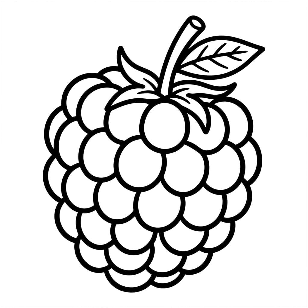 Free Raspberry Facts and Coloring Pages for Kids - Printable PDF - Preview Page 1