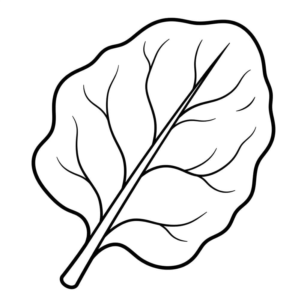 Free Spinach Facts and Coloring Pages for Kids - Printable PDF - Preview Page 1