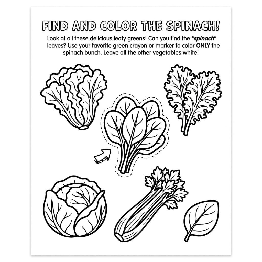 Free Spinach Facts and Coloring Pages for Kids - Printable PDF - Preview Page 3