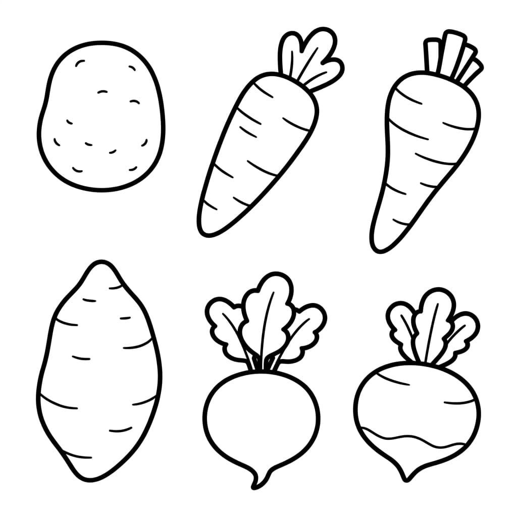 Free Sweet Potato Facts and Coloring Pages for Kids - Printable PDF - Preview Page 3