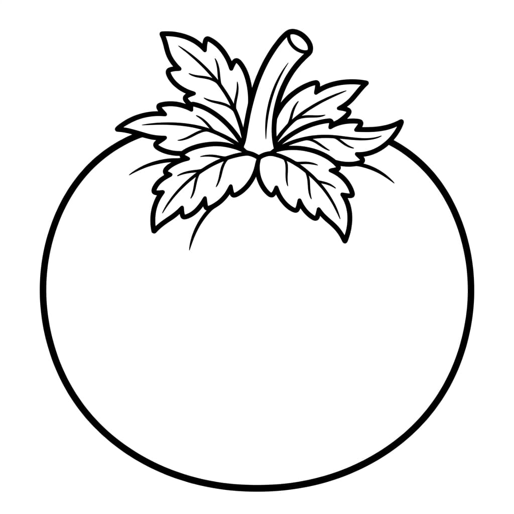 Free Tomato Facts and Coloring Pages for Kids - Printable PDF - Preview Page 1