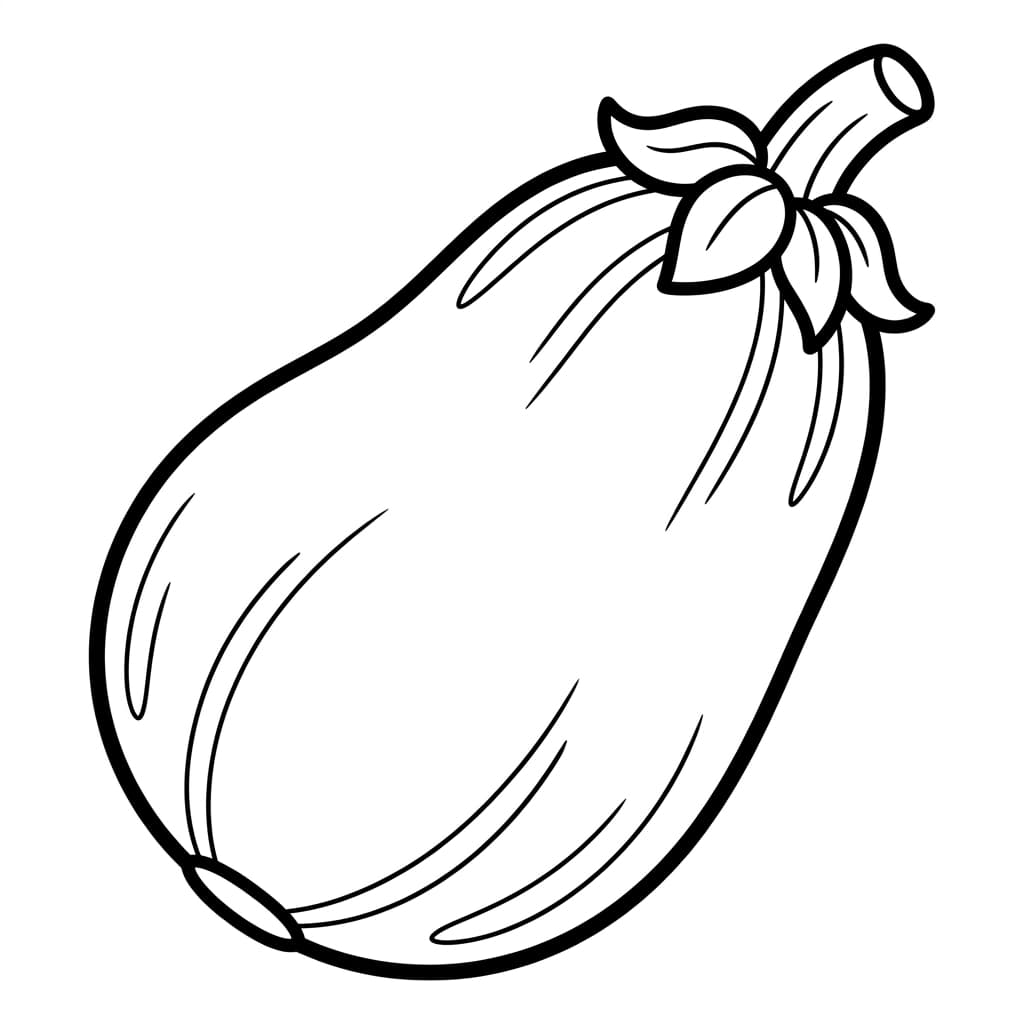 Free Zucchini Facts and Coloring Pages for Kids - Printable PDF - Preview Page 1